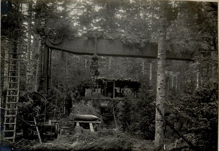 42 cm Küstenhaubitze am Monte Rover. Aufgenommen im Mai 1916. (BildID 15534007)