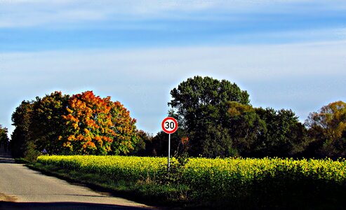 Field nature landscape