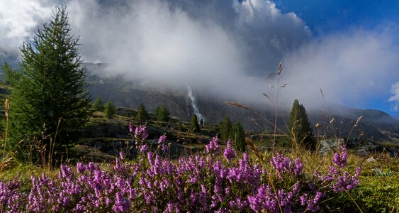 Landscape nature lake