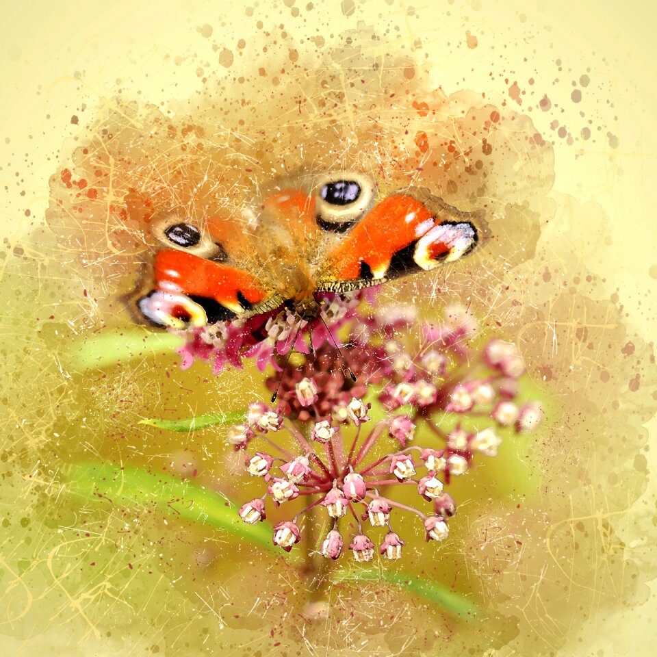 Blossom bloom silk flower