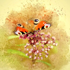 Blossom bloom silk flower