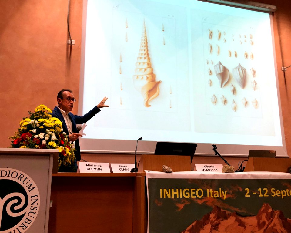 44-INHIGEO Como presentation