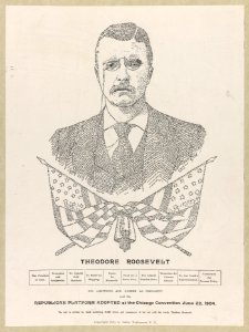 45,000 letters making up a head and shoulders portrait of Pres. Theodore Roosevelt and crossed flags LCCN2002714443