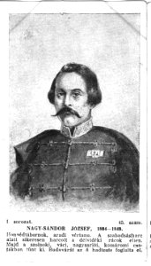 45. Nagy-Sándor József