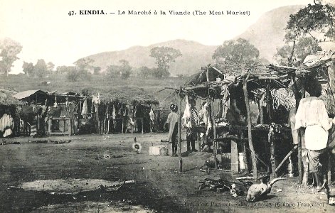47-Kindia-Le Marché à la Viande photo