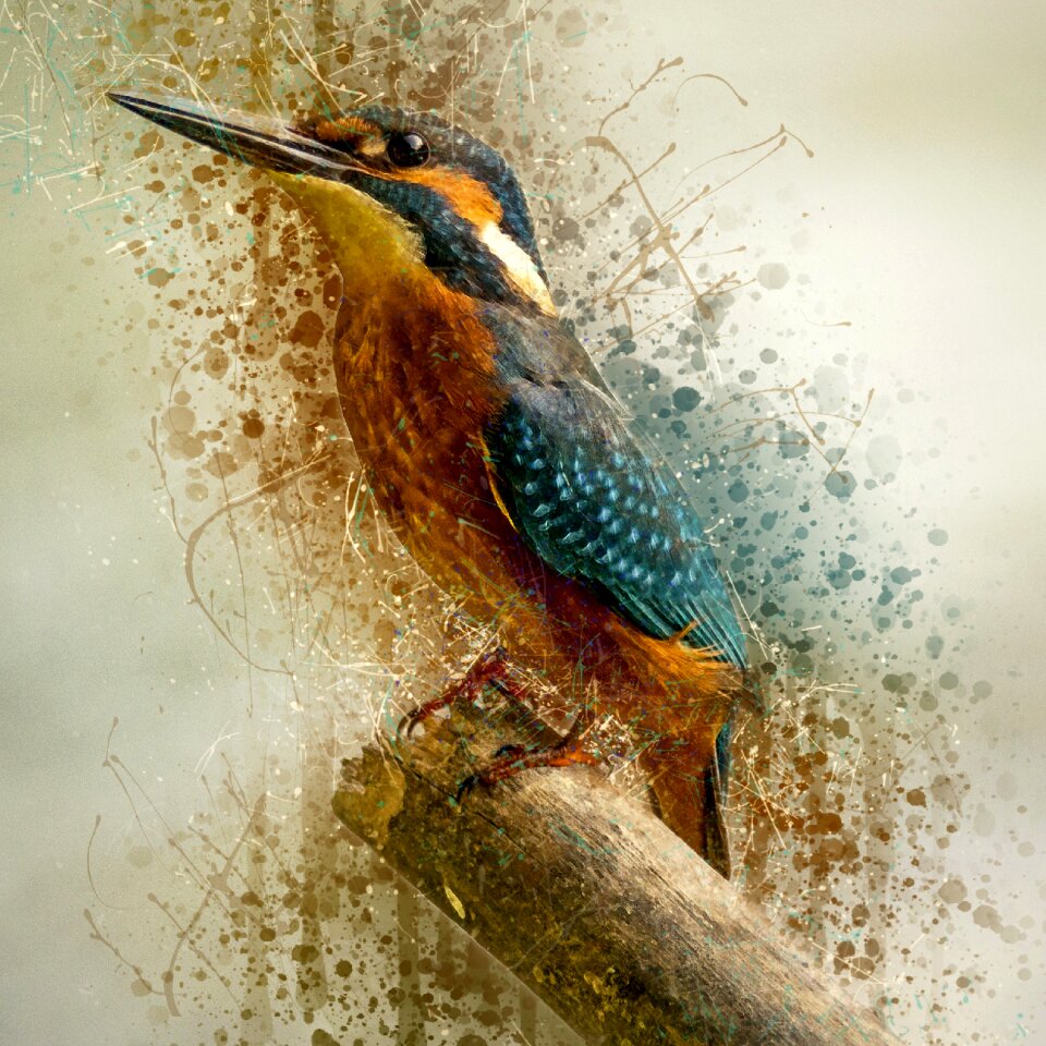 Small perched background