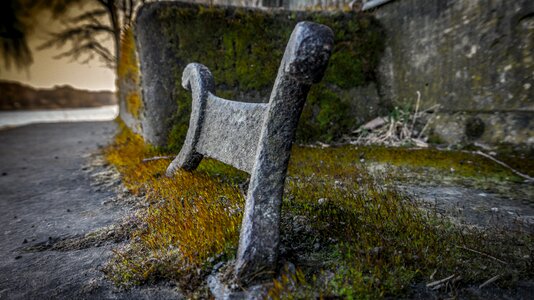 Iron old moss