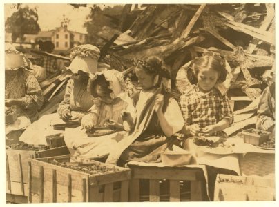 5 year old Helen and her stepsisters 'hulling' strawberries at Johnson's Hulling Station, Seaford, Del. Helen is an orphan, who one month after death of her widowed mother, was adopted by LOC nclc.00788