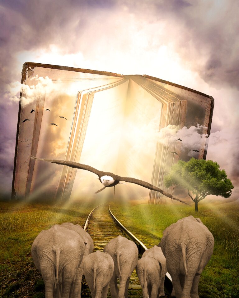 Book animals nature