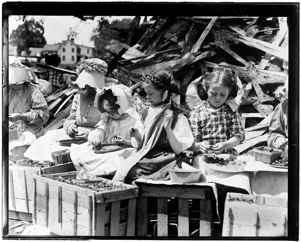 5 year old Helen and her stepsisters hulling strawberries at Johnson's Hulling Sta. Helen is an orphan, who, one... - NARA - 523316