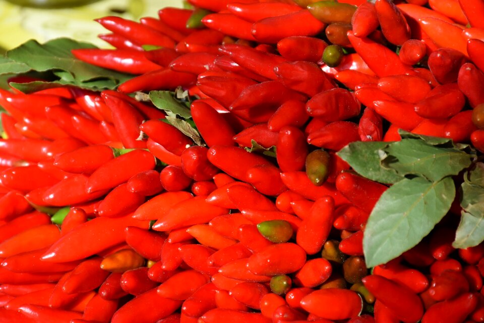 Vegetables paprika spice