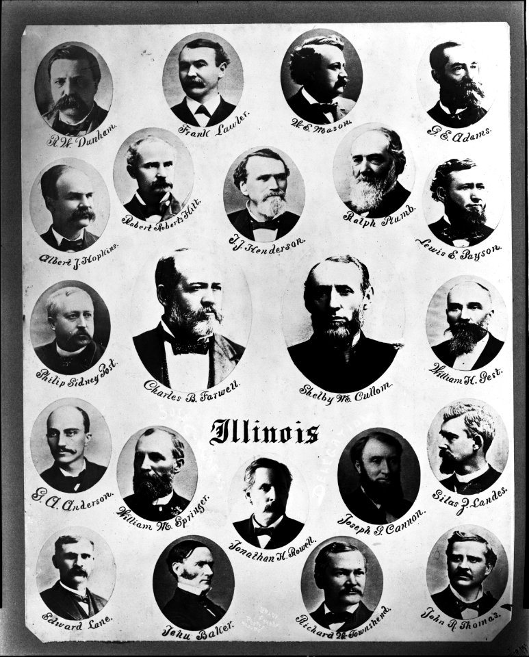 50th Congress Illinois delegates - Brady & Handy Photo Wash D.C. LCCN2008680144