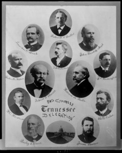 50th Congress Tennessee delegates - Brady & Handy Photo Wash D.C. LCCN2008680148