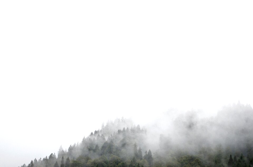 Nature fogs cold