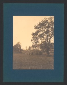 5715049.Erwin Quedenfeldt