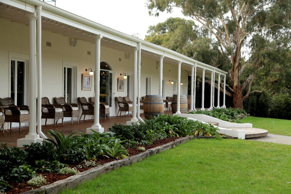 Winery green space gallery