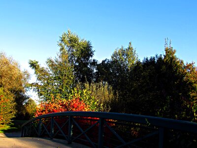 Colors bridge colour photo