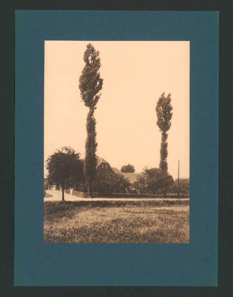 5723232.Erwin Quedenfeldt