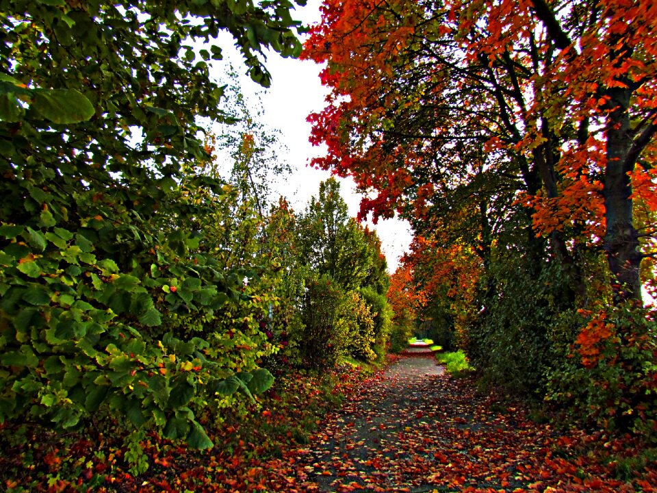 Colors bridge colour photo