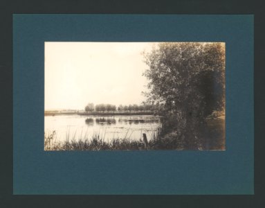 5946694.Erwin Quedenfeldt