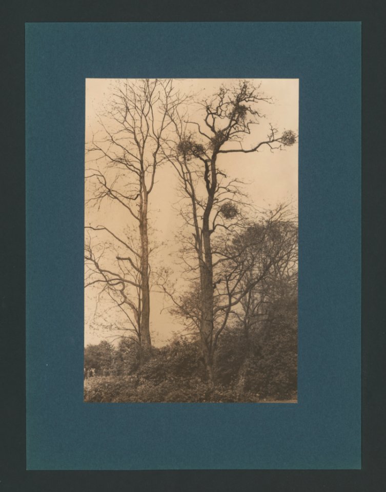5981214.Erwin Quedenfeldt