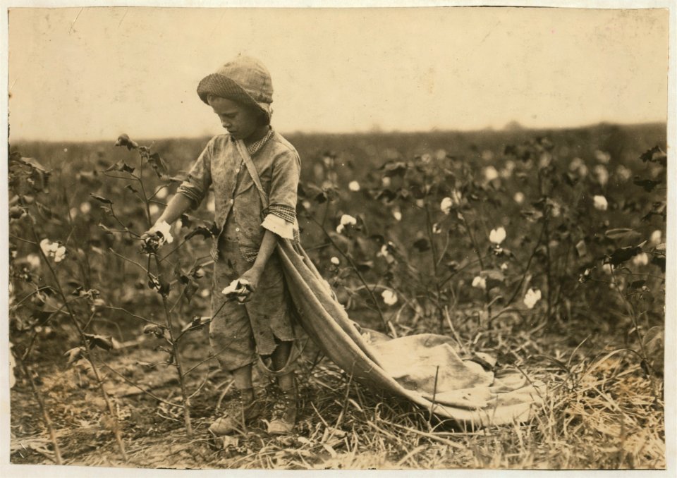 6-year old Warren Frakes. Mother said he picked 41 pounds yesterday 'An I don't make him pick; he picked some last year.' Has about 20 pounds in his bag. See 4574. LOC cph.3a46555