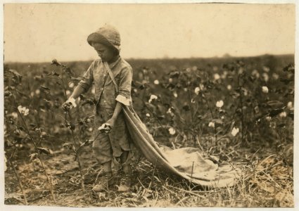 6-year old Warren Frakes. Mother said he picked 41 pounds yesterday 'An I don't make him pick; he picked some last year.' Has about 20 pounds in his bag. See 4574. LOC cph.3a46555
