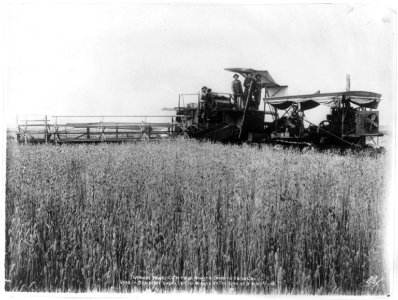 60 horsepower caterpillar engine combine harvester used in Deschutes Valley, central Oregon, on the line of the Oregon trunk. LCCN2004673004