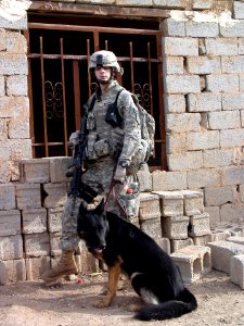 6-1 CAV and 12th IA Team up for Cordon and Search DVIDS251038