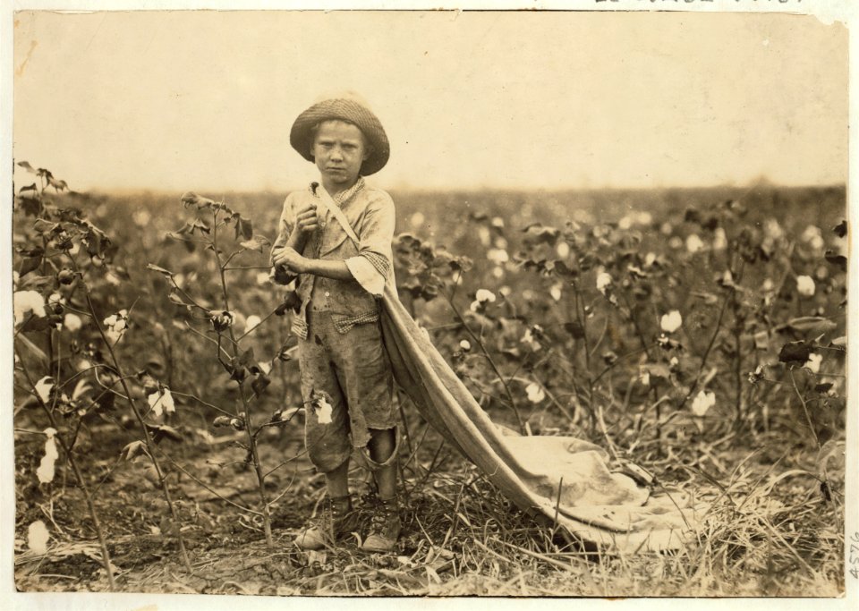 6-year old Warren Frakes. Mother said he picked 41 pounds yesterday 'An I don't make him pick; he picked some last year.' Has about 20 pounds in his bag. See 4574. LOC cph.3b01719