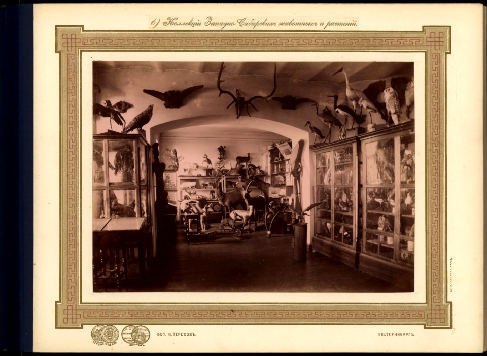 6. Collection of West Siberian Animals and Plants