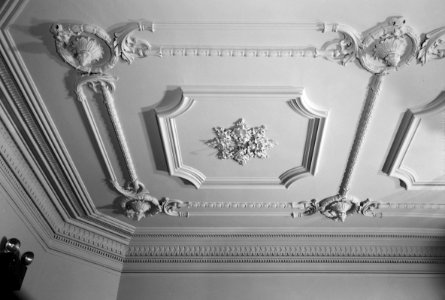 6. John M. Davies House, Entrance Hall Ceiling Detail