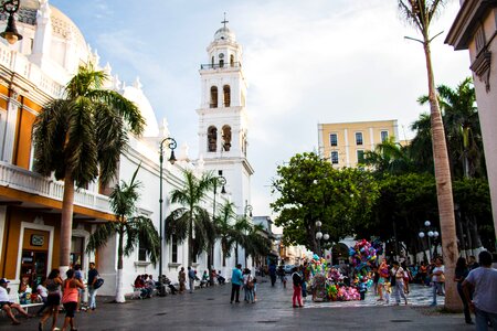 Mexico veracruz nature