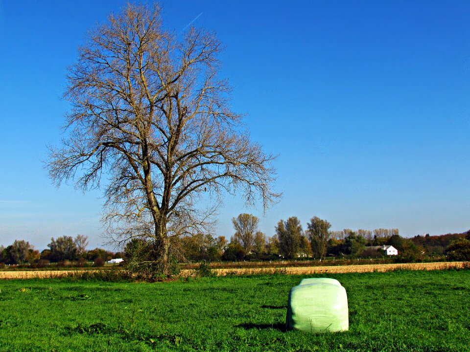 Nature spring landscape