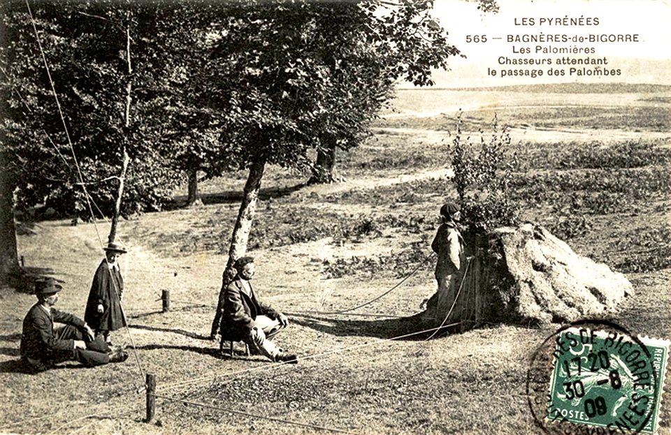 65 Bagnères-de-Bigorre Palombière