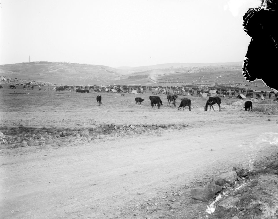 6th Australian light horse regiment, 1918 camped outside Jerusalem in Mt. Scopus areas LOC matpc.08119 (cropped)