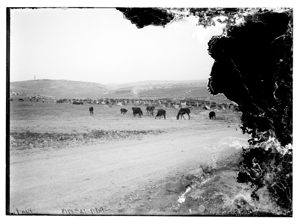 6th Australian light horse regiment, 1918 camped outside Jerusalem in Mt. Scopus areas LOC matpc.08119