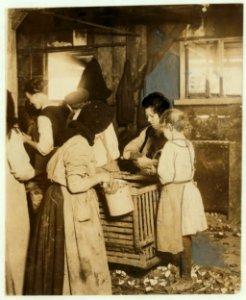 7-year old Rosie. Regular shucker. Her second year at it. Illiterate. Works all day. Shucks only a few pots a day. Varn & Platt Canning Co. LOC nclc.01013 photo