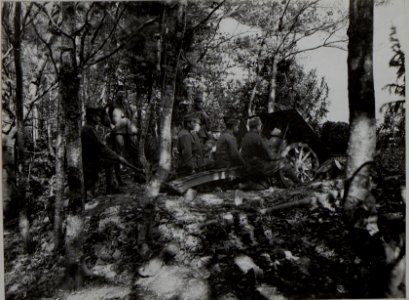 7.5cm Gebirgskanone in Feuerstellung im Graben d.J.R.93 Tlocznya 921 Sept.16 (BildID 15453011)