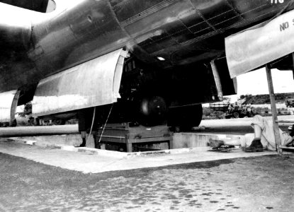 77-BT-116 (20709498048)