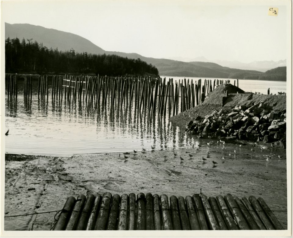 8-65. Cordova - Showing pile which will support city dock (32731438064)
