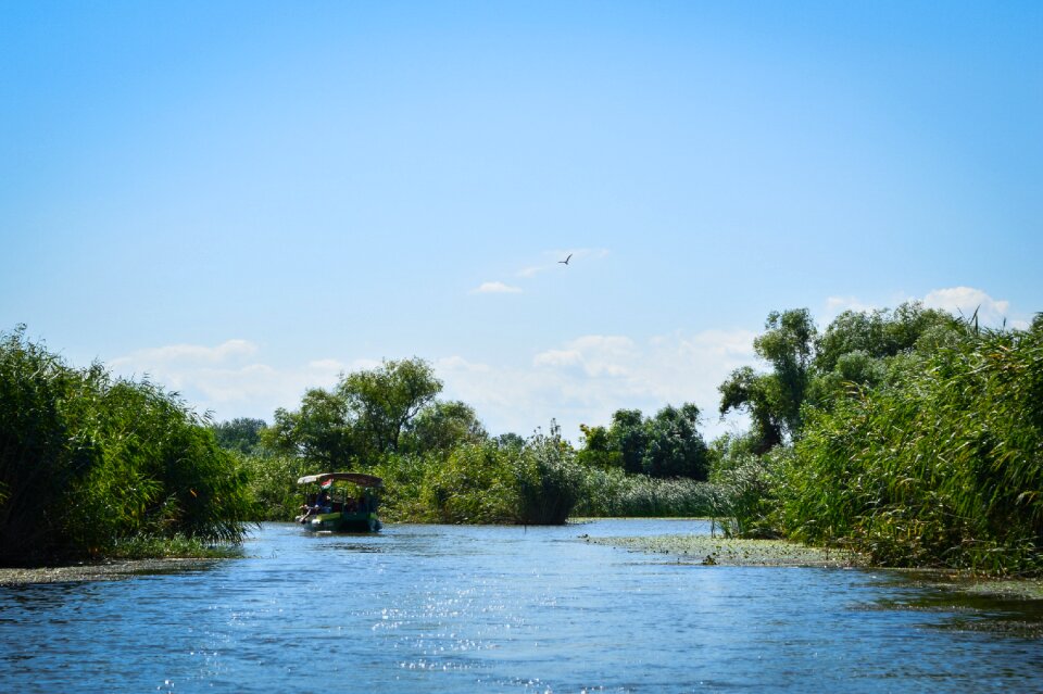 Blue summer nature