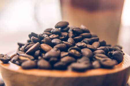 Coffee beans seeds photo
