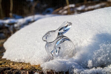 Snow easter bunny forest