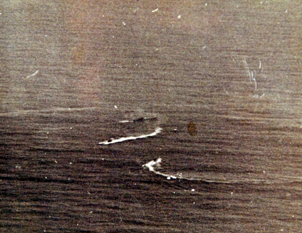 80-G-208923 (36122477026)