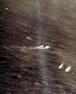80-G-222836 (34446424694)