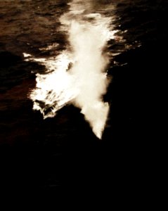80-G-244737 (25928929613)