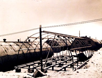 80-G-27308 (21831223520)