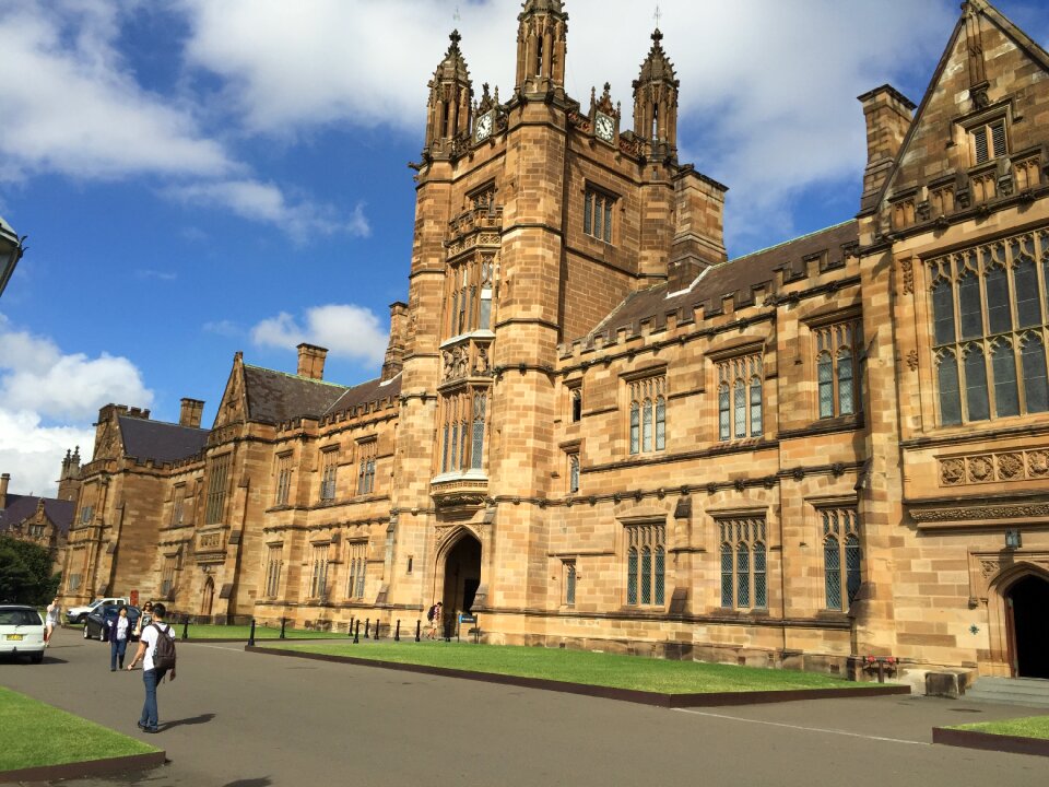 Usyd education brown education