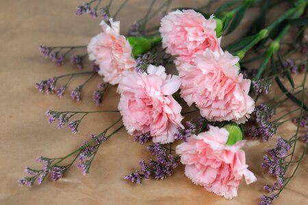 Bouquet carnation color